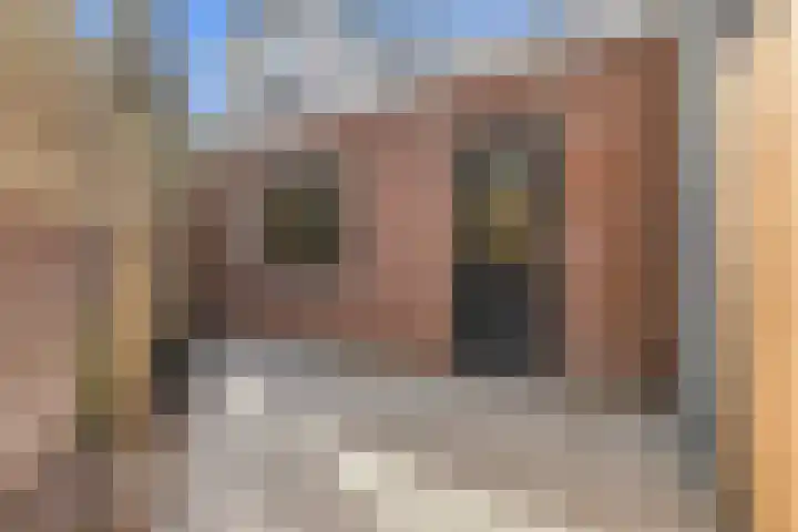 Dr. Lelykade 272 A Den Haag thumbnail 38