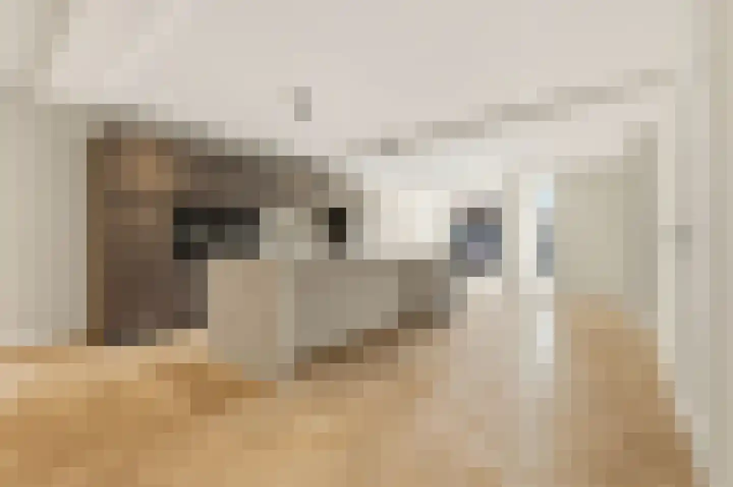 Dr. Lelykade 272 A Den Haag thumbnail 6