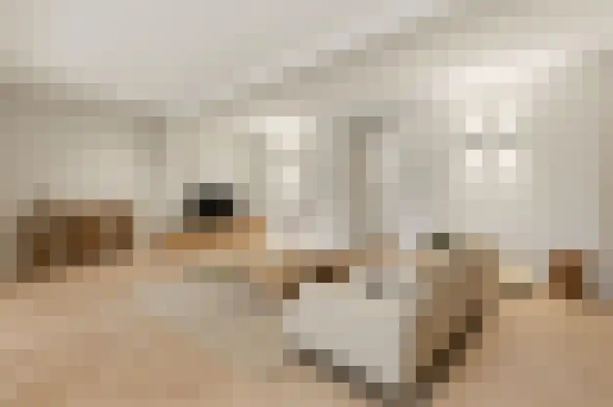 Dr. Lelykade 272 A Den Haag thumbnail 7
