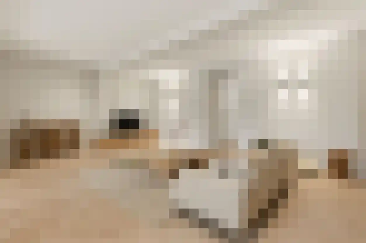 Dr. Lelykade 272 A Den Haag thumbnail 7