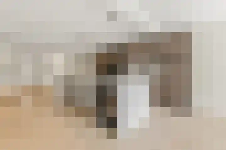 Dr. Lelykade 272 A Den Haag thumbnail 8