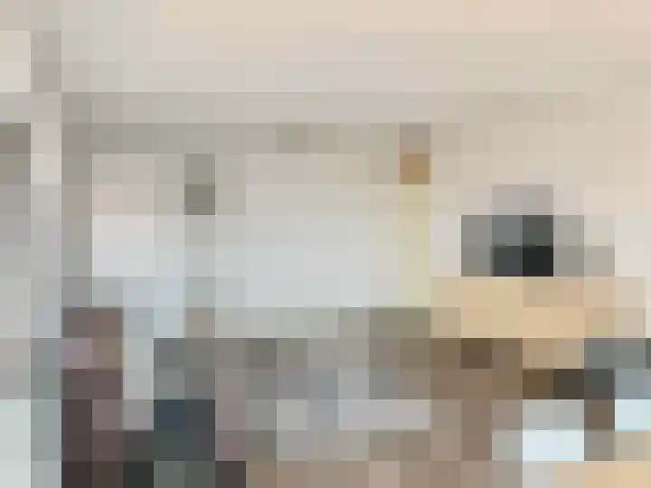 Dr. Lelykade 281 Den Haag thumbnail 14