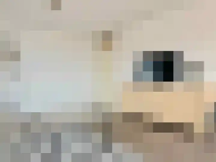 Dr. Lelykade 281 Den Haag thumbnail 15