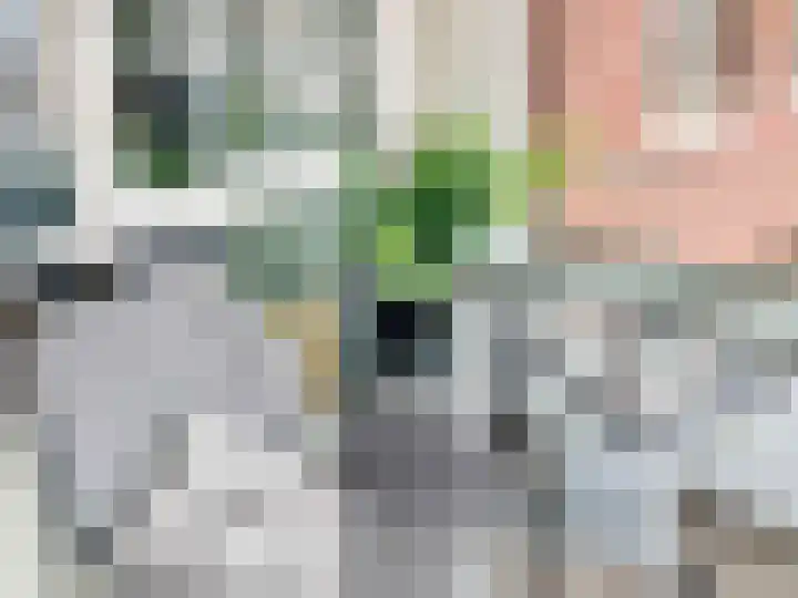 Dr. Lelykade 281 Den Haag thumbnail 21