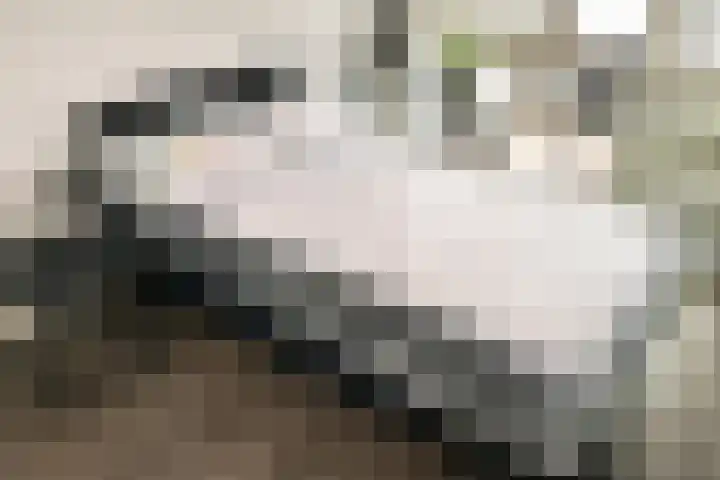 Dr. Lelykade 281 Den Haag thumbnail 22