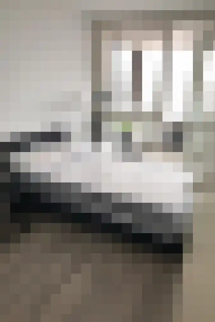 Dr. Lelykade 281 Den Haag thumbnail 24