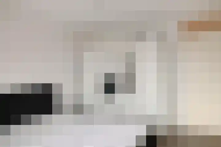 Dr. Lelykade 281 Den Haag thumbnail 27