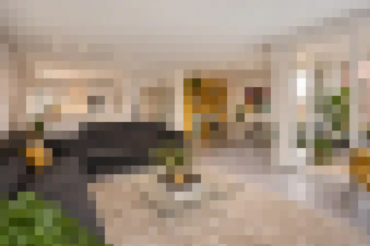Dr. Lelykade 303 Den Haag thumbnail 10