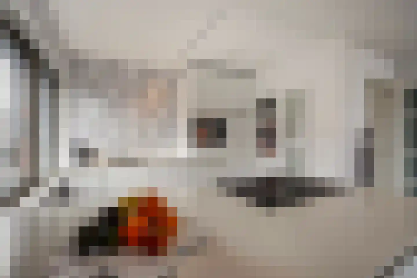 Dr. Lelykade 303 Den Haag thumbnail 13