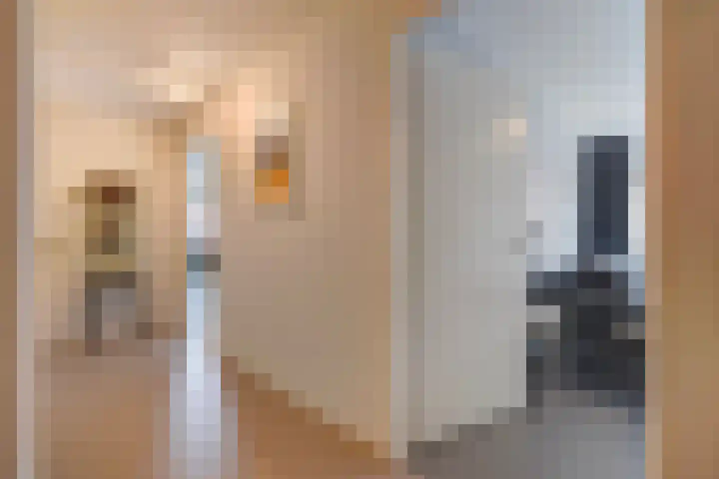 Dr. Lelykade 303 Den Haag thumbnail 15