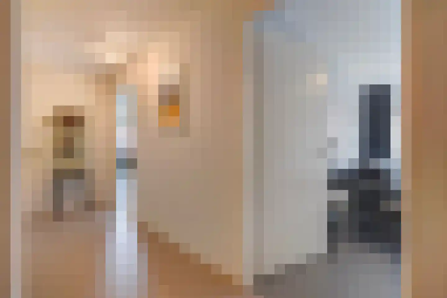 Dr. Lelykade 303 Den Haag thumbnail 17