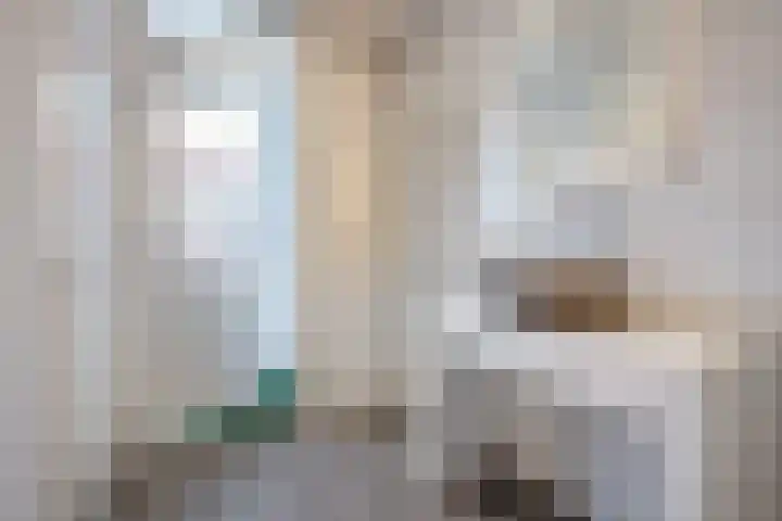 Dr. Lelykade 314 Den Haag thumbnail 15