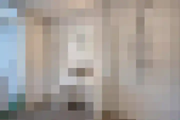 Dr. Lelykade 314 Den Haag thumbnail 16