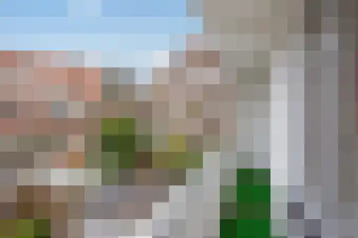 Dr. Lelykade 314 Den Haag thumbnail 22