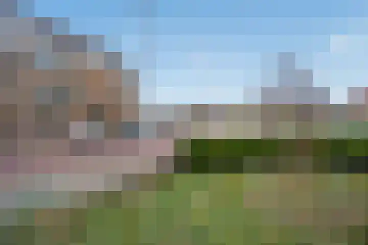Dr. Lelykade 314 Den Haag thumbnail 26