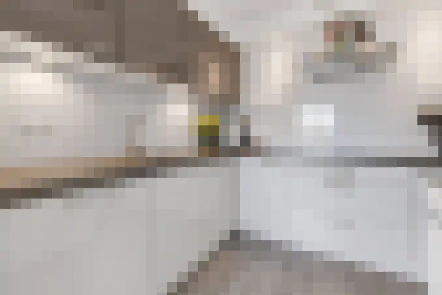 Dr. Lelykade 321 Den Haag thumbnail 17