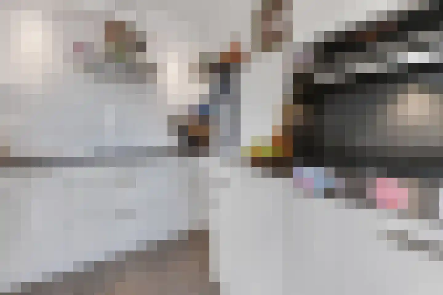 Dr. Lelykade 321 Den Haag thumbnail 18