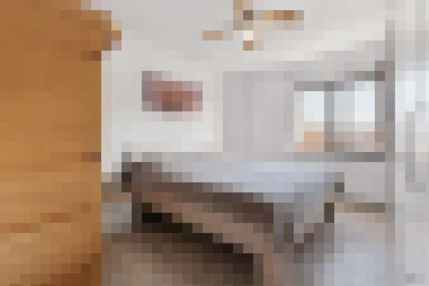 Dr. Lelykade 321 Den Haag thumbnail 25