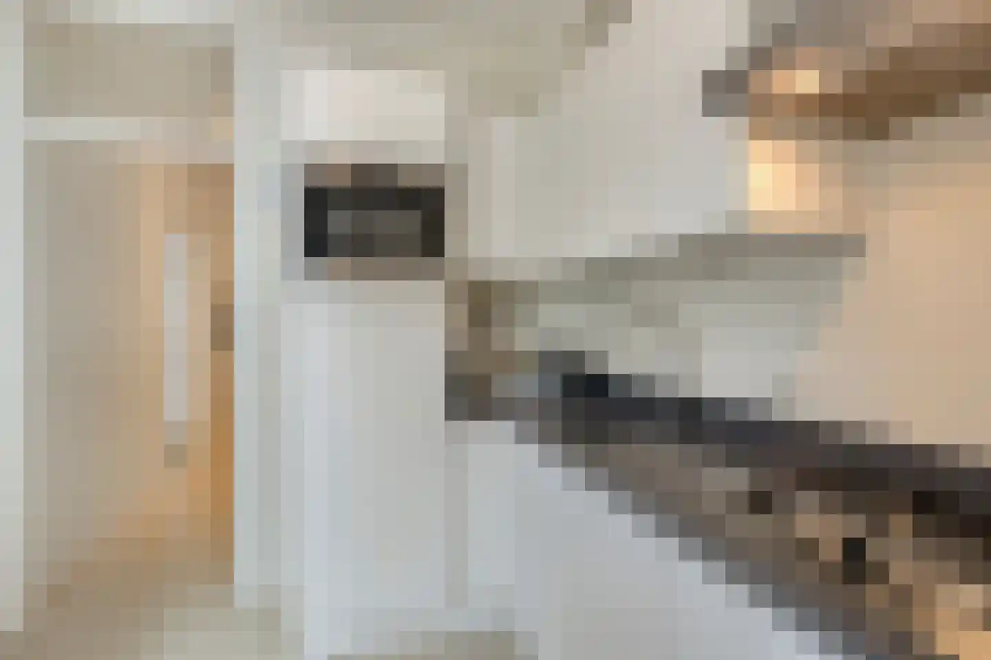 Dr. Lelykade 322 Den Haag thumbnail 18