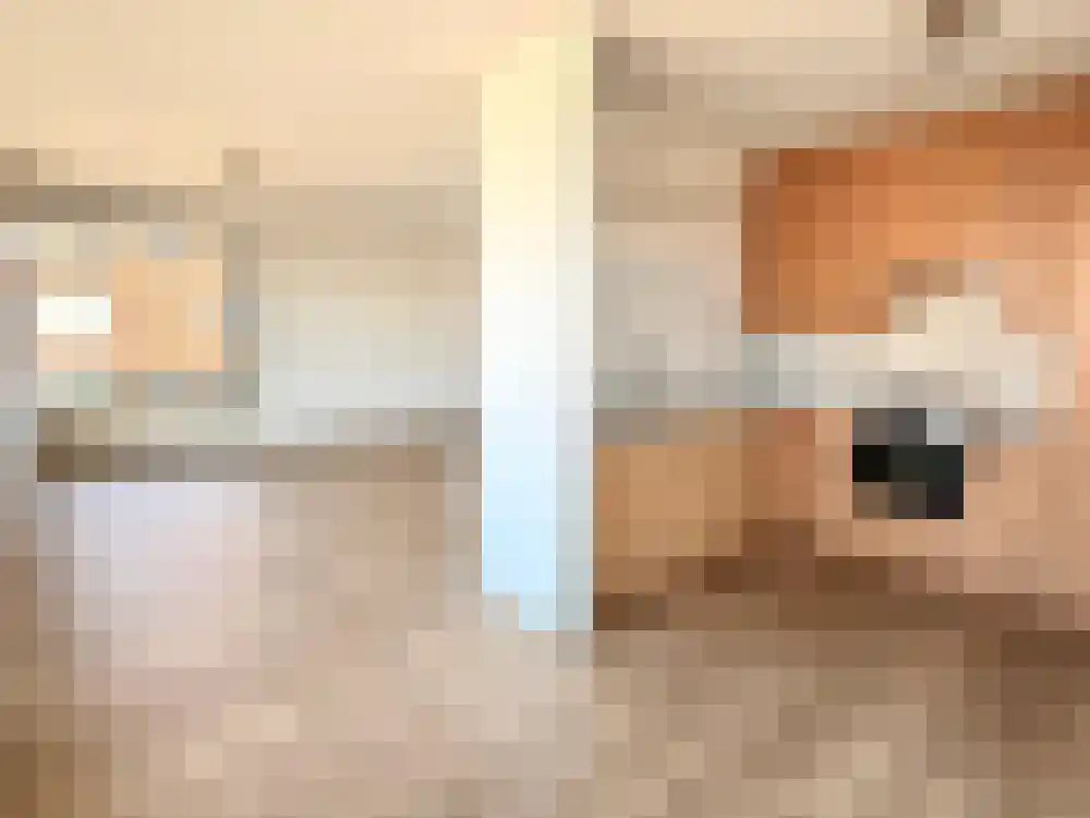 Dr. Lelykade 345 Den Haag thumbnail 13