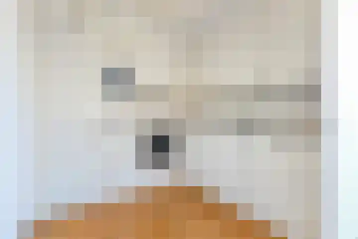 Dr. Lelykade 351 Den Haag thumbnail 13