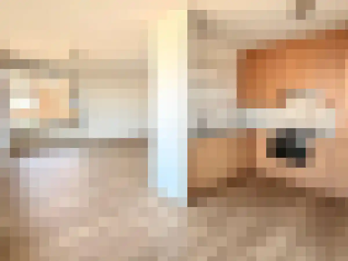 Dr. Lelykade 353 Den Haag thumbnail 6