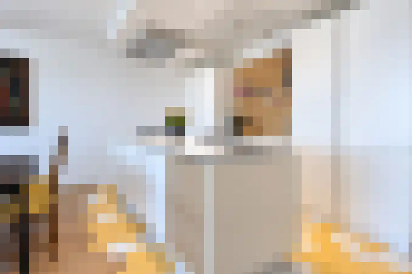 Dr. Lelykade 44 C Den Haag thumbnail 13