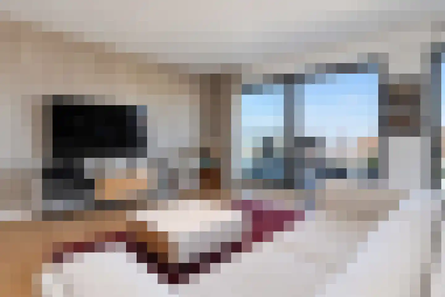 Dr. Lelykade 44 C Den Haag thumbnail 5