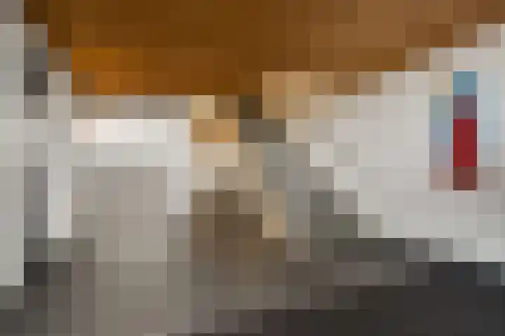 Dr. Lelykade 50 Den Haag thumbnail 6