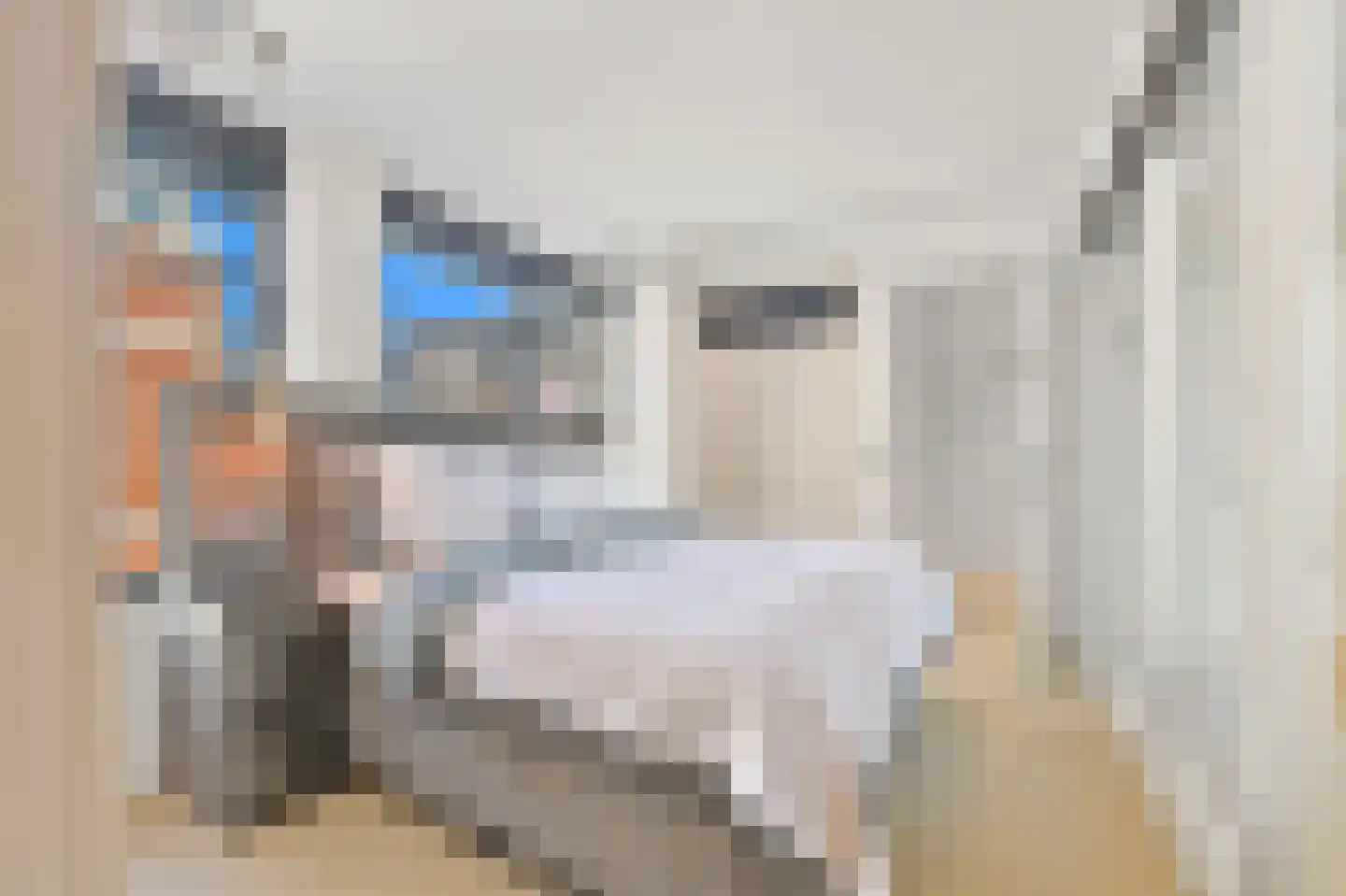 Dr. Lelykade 62 A Den Haag thumbnail 47