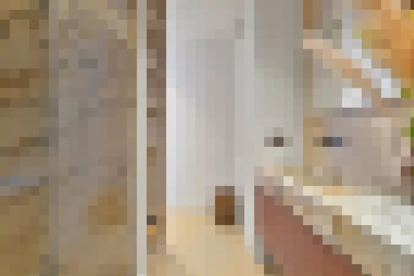 Dr. Lelykade 62 A Den Haag thumbnail 52