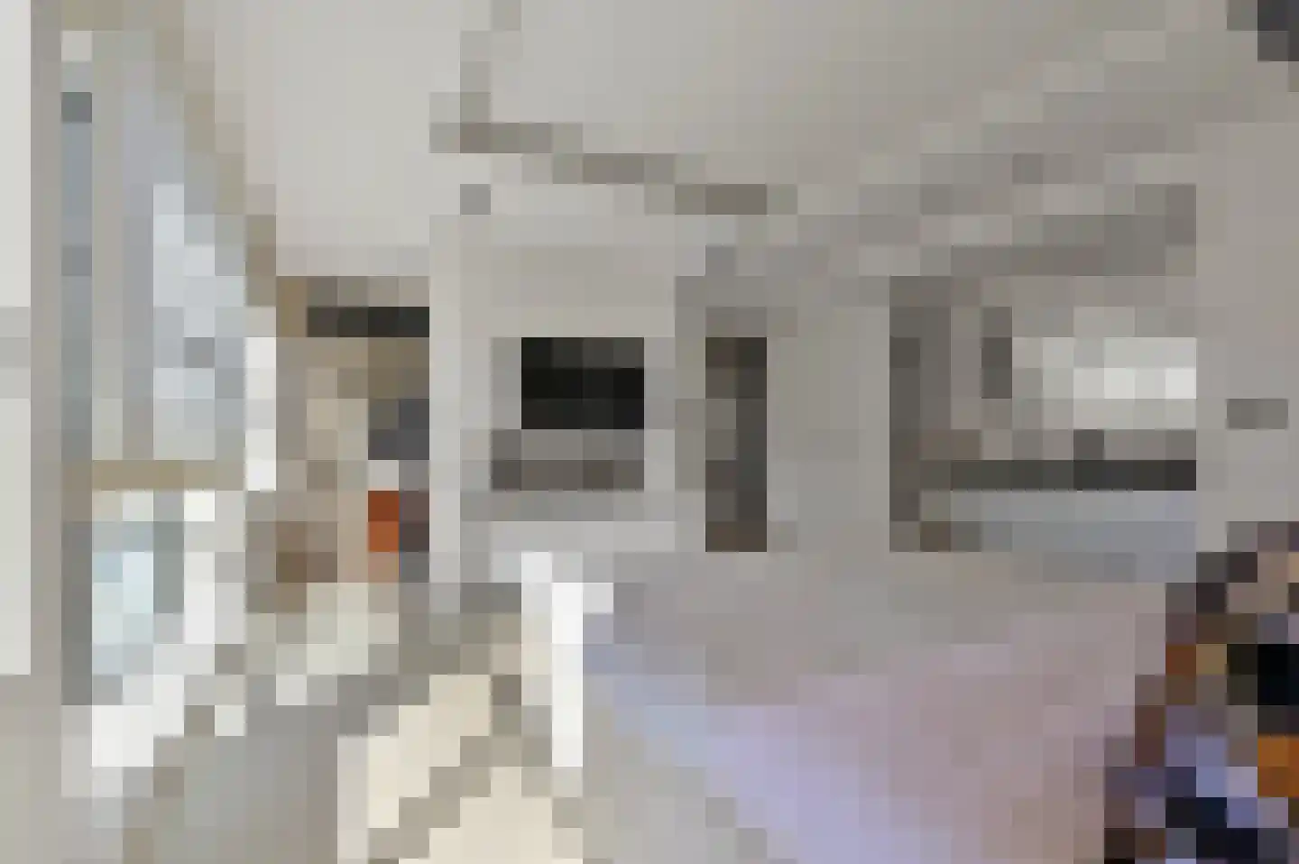 Dr. Lelykade 62 A Den Haag thumbnail 68