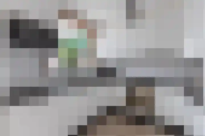 Dr. Lelylaan 37 Huizen thumbnail 11