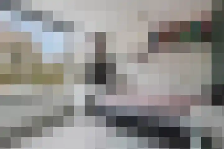 Dr. Lelylaan 37 Huizen thumbnail 15