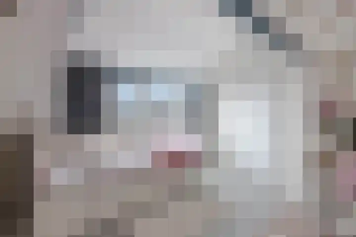 Dr. Lelylaan 37 Huizen thumbnail 20