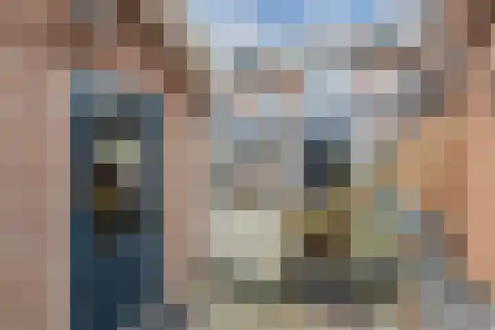 Dr. Lelylaan 37 Huizen thumbnail 23