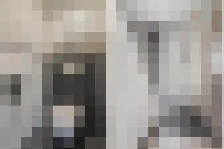 Dr. Lelylaan 37 Huizen thumbnail 5