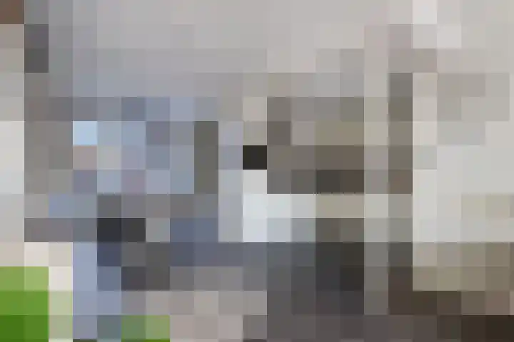 Dr. Lelylaan 43 Huizen thumbnail 10