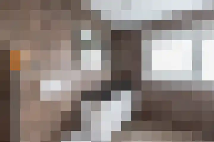 Dr. Lelylaan 43 Huizen thumbnail 21