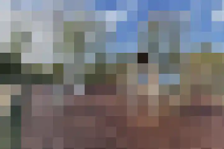 Dr. Lelylaan 43 Huizen thumbnail 29