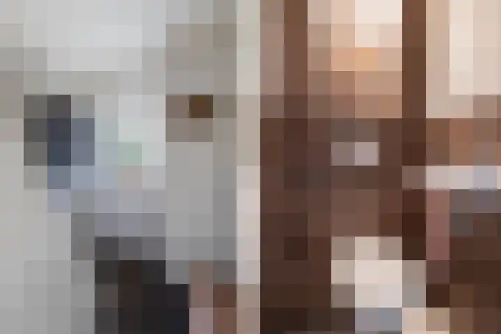 Dr. Lelylaan 43 Huizen thumbnail 7