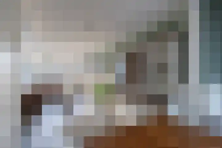 Dr. Lelylaan 43 Huizen thumbnail 8
