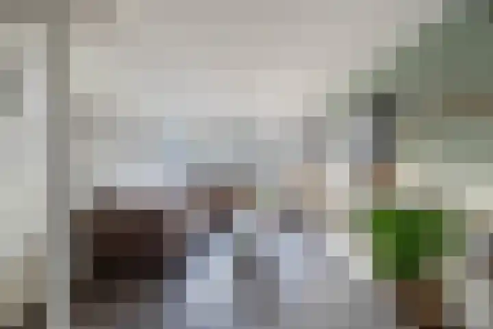 Dr. Lelylaan 43 Huizen thumbnail 9