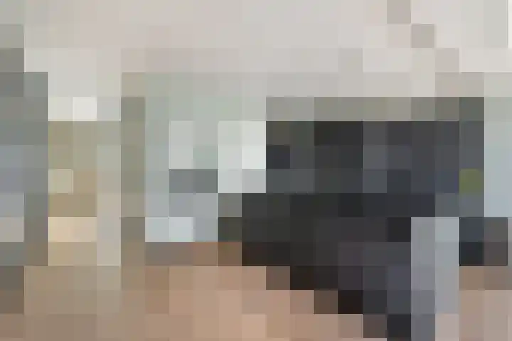 Dr. Lelylaan 61 Huizen thumbnail 11