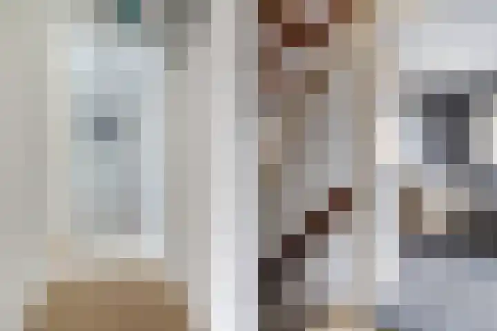 Dr. Lelylaan 61 Huizen thumbnail 15