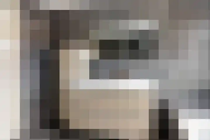 Dr. Lelylaan 61 Huizen thumbnail 19