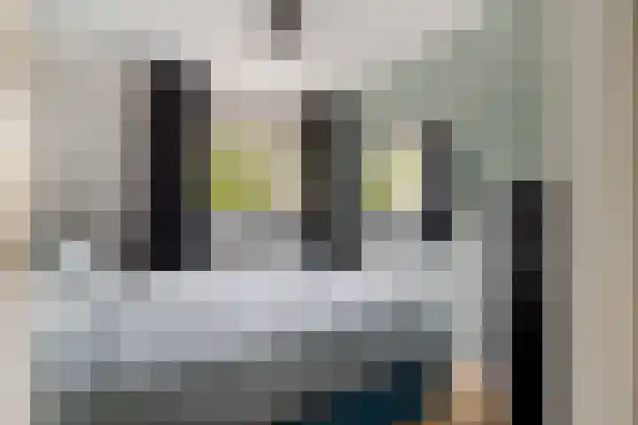 Dr. Lelylaan 61 Huizen thumbnail 21