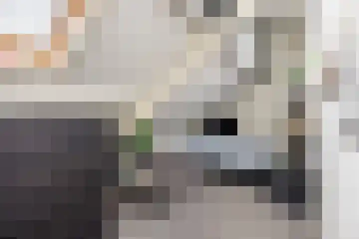 Dr. Lelylaan 61 Huizen thumbnail 27