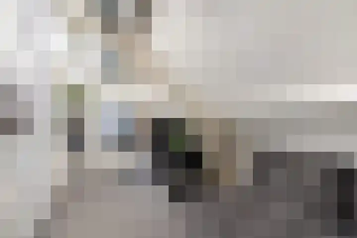 Dr. Lelylaan 61 Huizen thumbnail 28