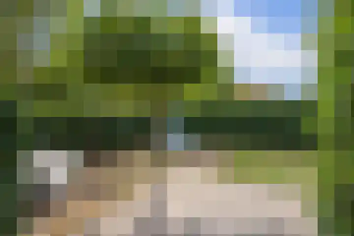 Dr. Lelylaan 61 Huizen thumbnail 35